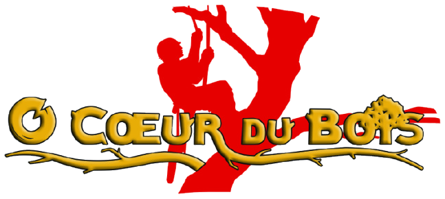 Logo transparent